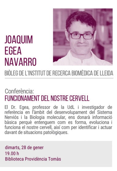 Conferencia AEUT