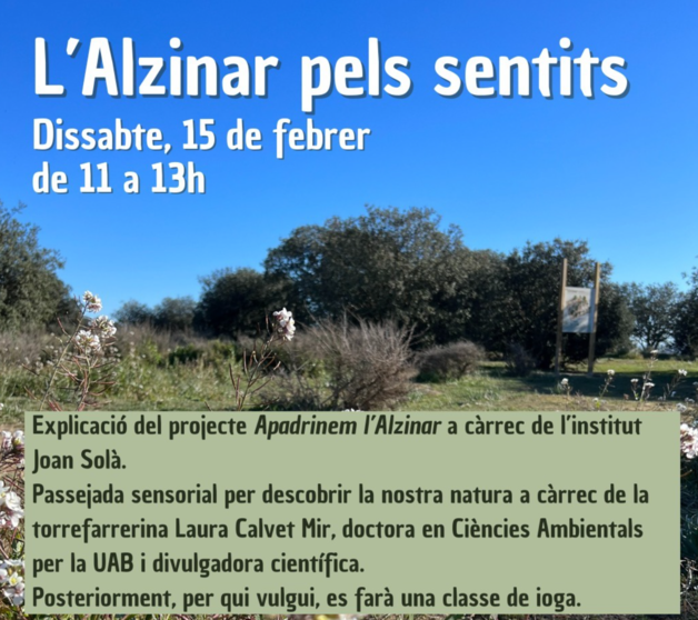 Acivitat lúdica